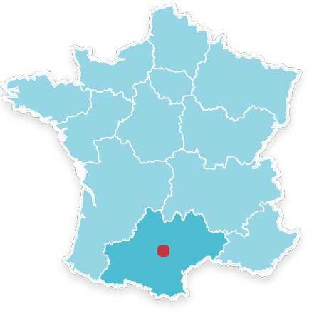 81220 Servies